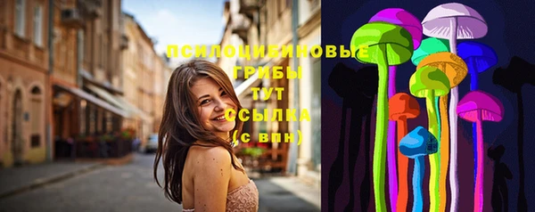 эйфоретик Новозыбков