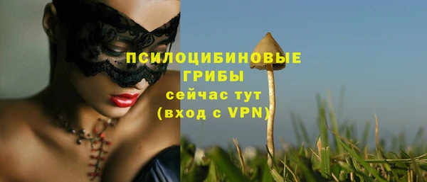 мяу мяу мука Новокубанск