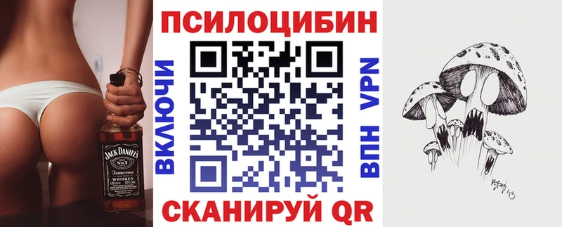 Псилоцибиновые грибы Psilocybe  ОМГ ОМГ онион  Янаул  shop как зайти  где найти  