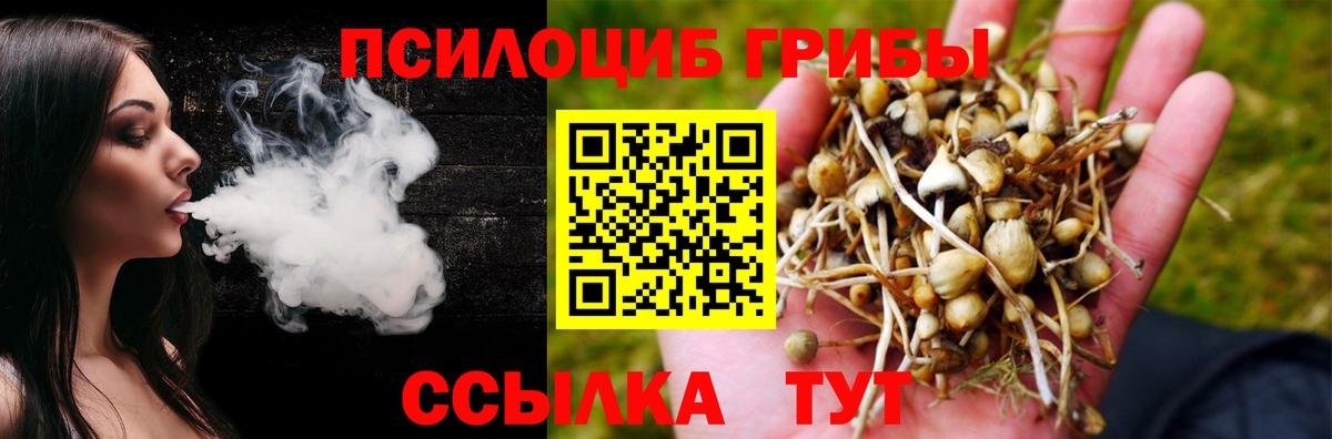 Псилоцибиновые грибы GOLDEN TEACHER  Вход с VPN  Псилоцибиновые грибы мицелий  Янаул 